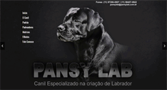 Desktop Screenshot of pansylab.com.br